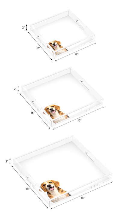 Beagle Dog Acrylic Decorative Tray, all three sizes, by Nicolette Mayer