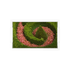 Begonia Swirl Acrylic Rectangle Tray, overhead, by Nicolette Mayer