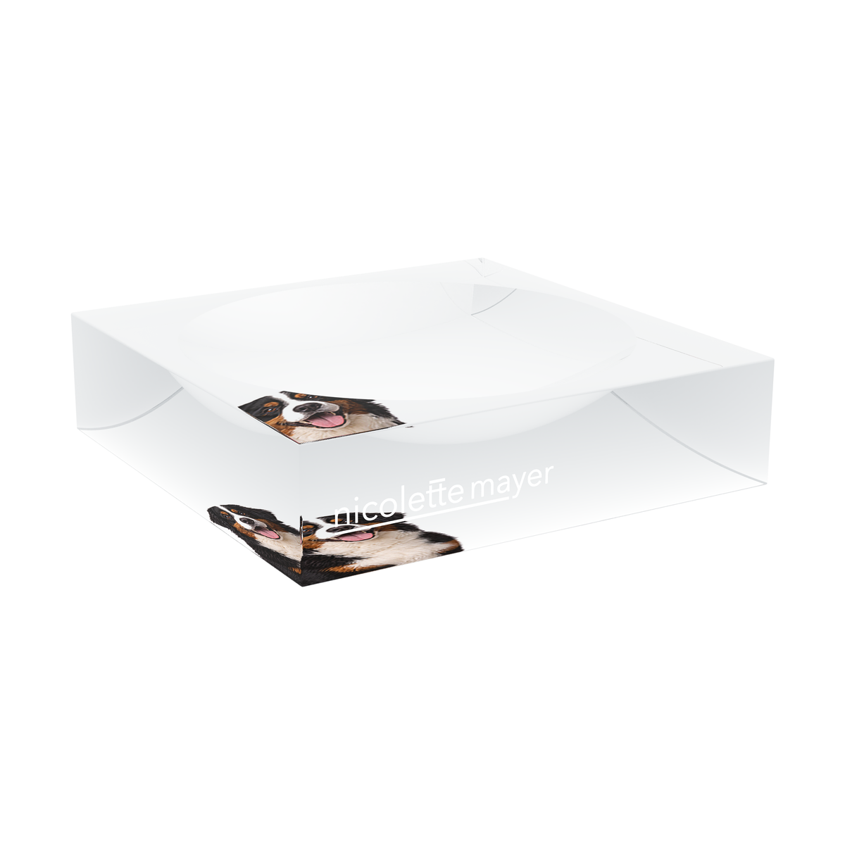Bernese Mountain Dog Acrylic Candy Catchall Dish, large dish at an angle, by Nicolette Mayer