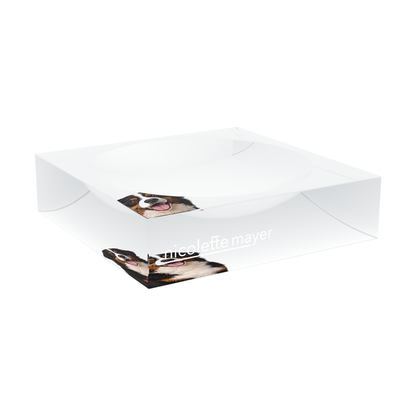Bernese Mountain Dog Acrylic Candy Catchall Dish, large dish at an angle, by Nicolette Mayer