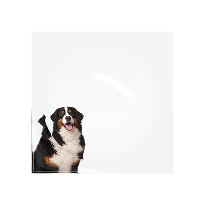 Bernese Mountain Dog Acrylic Candy Catchall Dish, overhead, by Nicolette Mayer