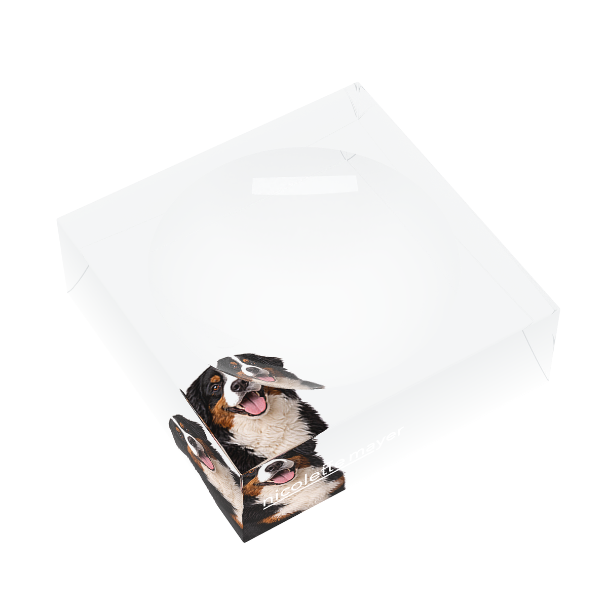 Bernese Mountain Dog Acrylic Candy Catchall Dish, left three-quarter, by Nicolette Mayer
