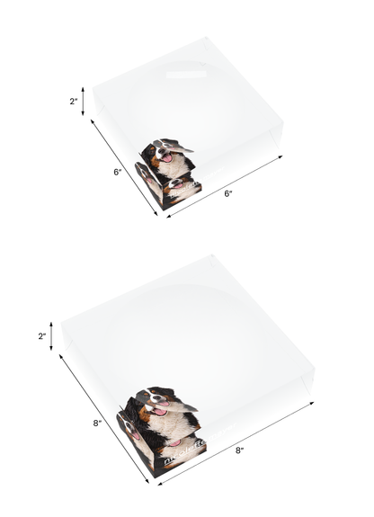 Bernese Mountain Dog Acrylic Candy Catchall Dish, both sizes, by Nicolette Mayer