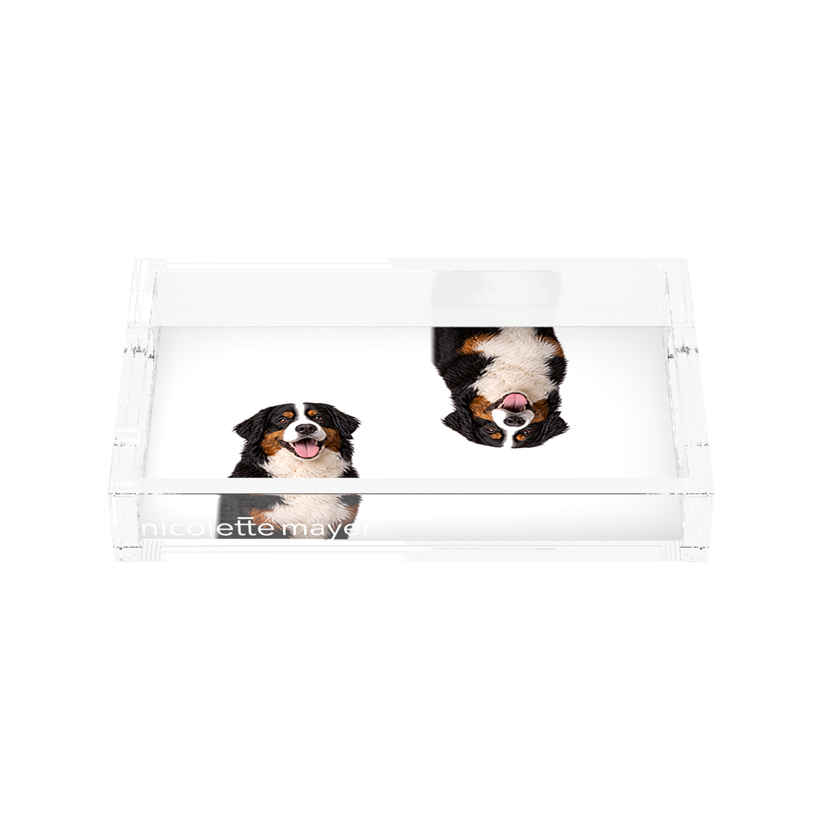 Bernese Mountain Dog Acrylic Rectangle Tray, front, by Nicolette Mayer