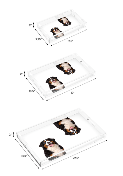 Bernese Mountain Dog Acrylic Rectangle Tray, all three sizes, by Nicolette Mayer