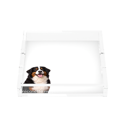 Bernese Mountain Dog Acrylic Decorative Tray, front, by Nicolette Mayer