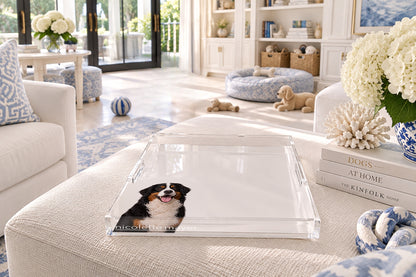 Bernese Mountain Dog Acrylic Decorative Tray, on an ottoman, by Nicolette Mayer