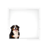 Bernese Mountain Dog Acrylic Decorative Tray, overhead, by Nicolette Mayer