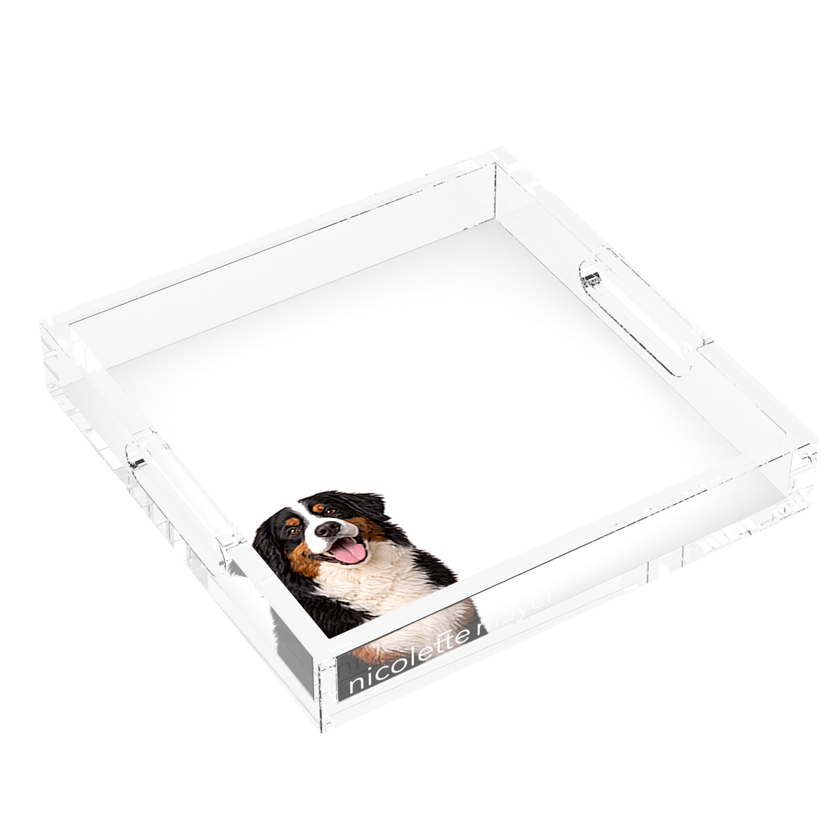 Bernese Mountain Dog Acrylic Decorative Tray, left three-quarter, by Nicolette Mayer