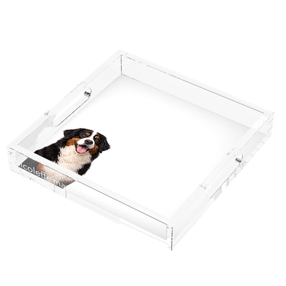 Bernese Mountain Dog Acrylic Decorative Tray, right three-quarter, by Nicolette Mayer