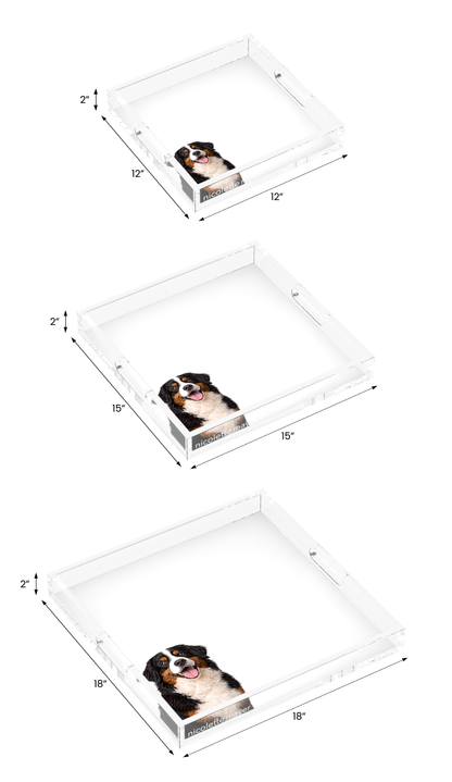 Bernese Mountain Dog Acrylic Decorative Tray, all three sizes, by Nicolette Mayer