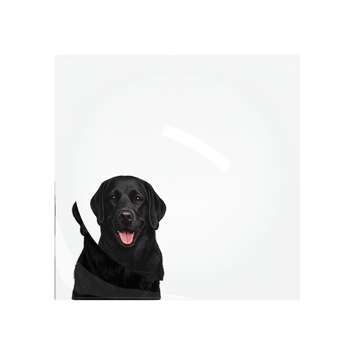 Black Lab Dog Acrylic Candy Catchall Dish, overhead, by Nicolette Mayer