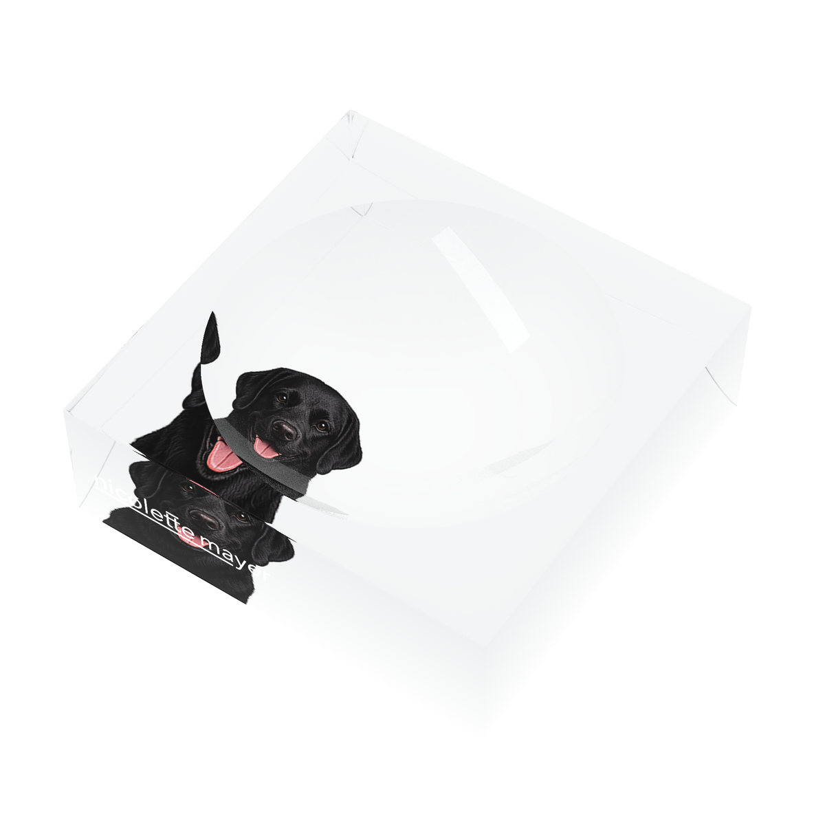 Black Lab Dog Acrylic Candy Catchall Dish, right three-quarter, by Nicolette Mayer