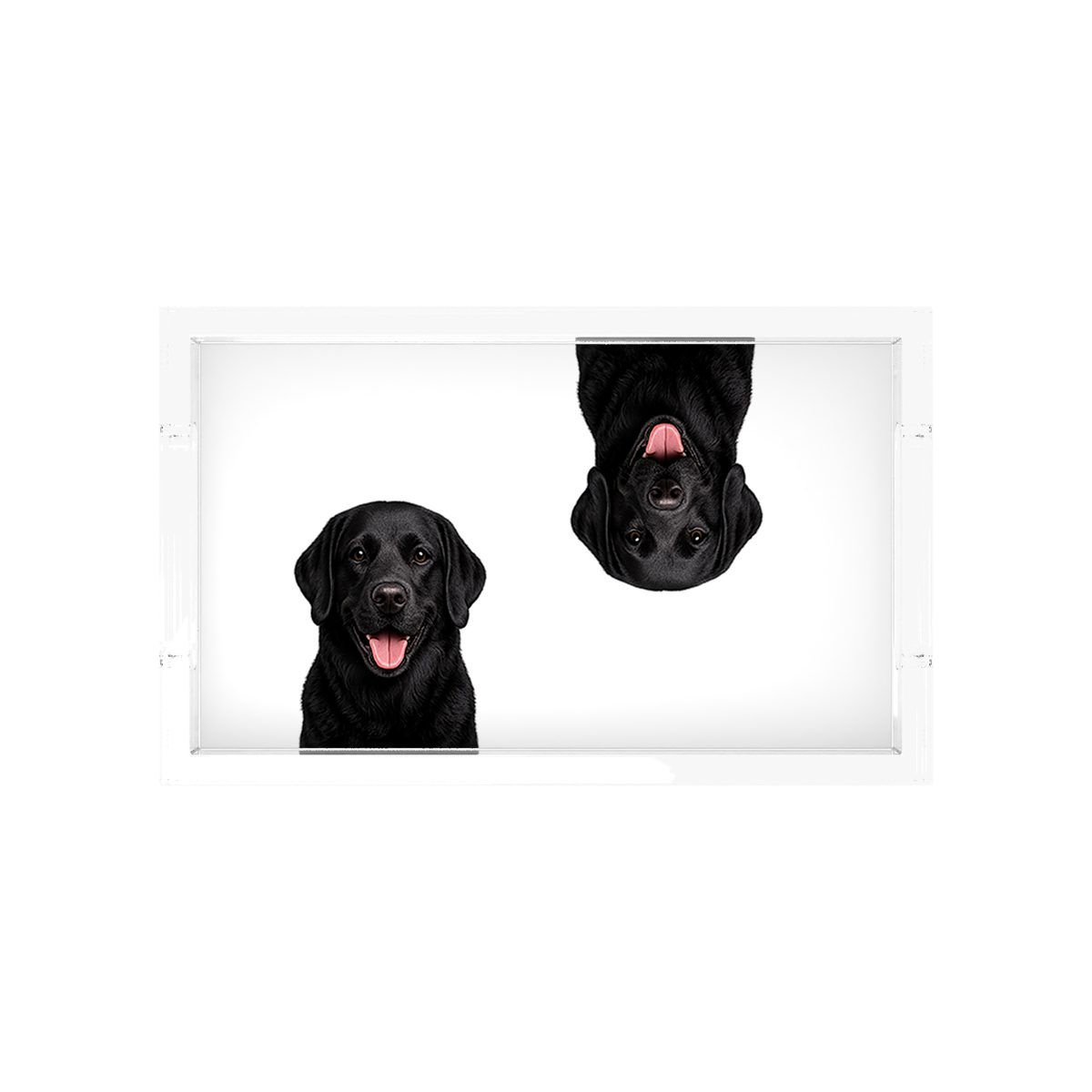 Black Lab Dog Acrylic Rectangle Tray, overhead, by Nicolette Mayer