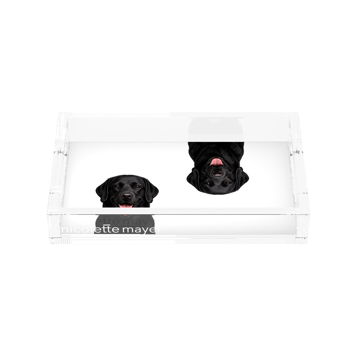 Black Lab Dog Acrylic Rectangle Tray, front, by Nicolette Mayer