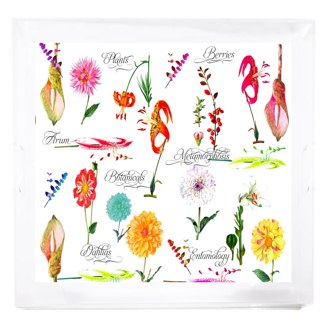 Botanicals White Beveled/Polished Acrylic 18X18 Large Size Square Printed Tray - nicolettemayer.com