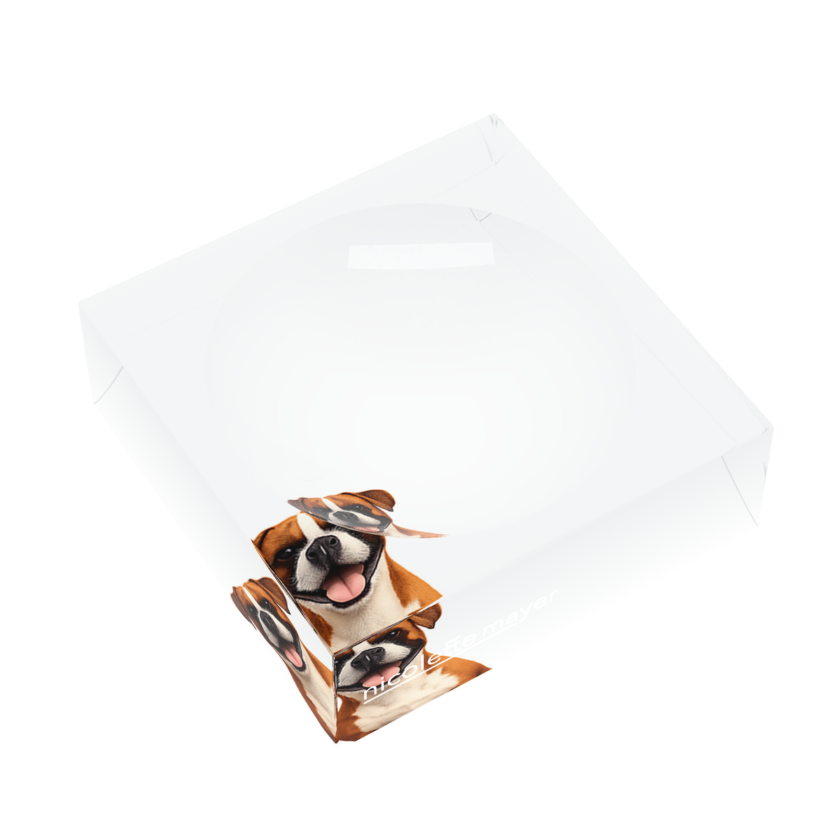 Boxer Dog Acrylic Candy Catchall Dish, left three-quarter, by Nicolette Mayer