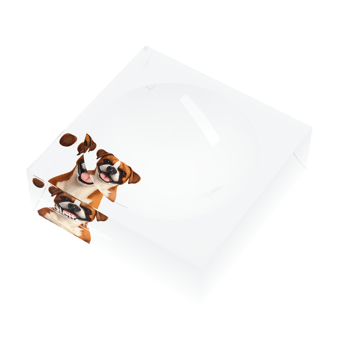 Boxer Dog Acrylic Candy Catchall Dish, right three-quarter, by Nicolette Mayer