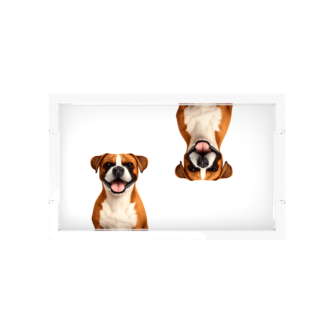 Boxer Dog Acrylic Rectangle Tray, overhead, by Nicolette Mayer