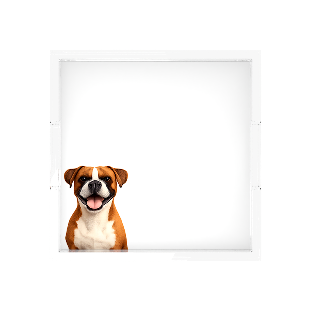 Boxer Dog Acrylic Decorative Tray, overhead, by Nicolette Mayer