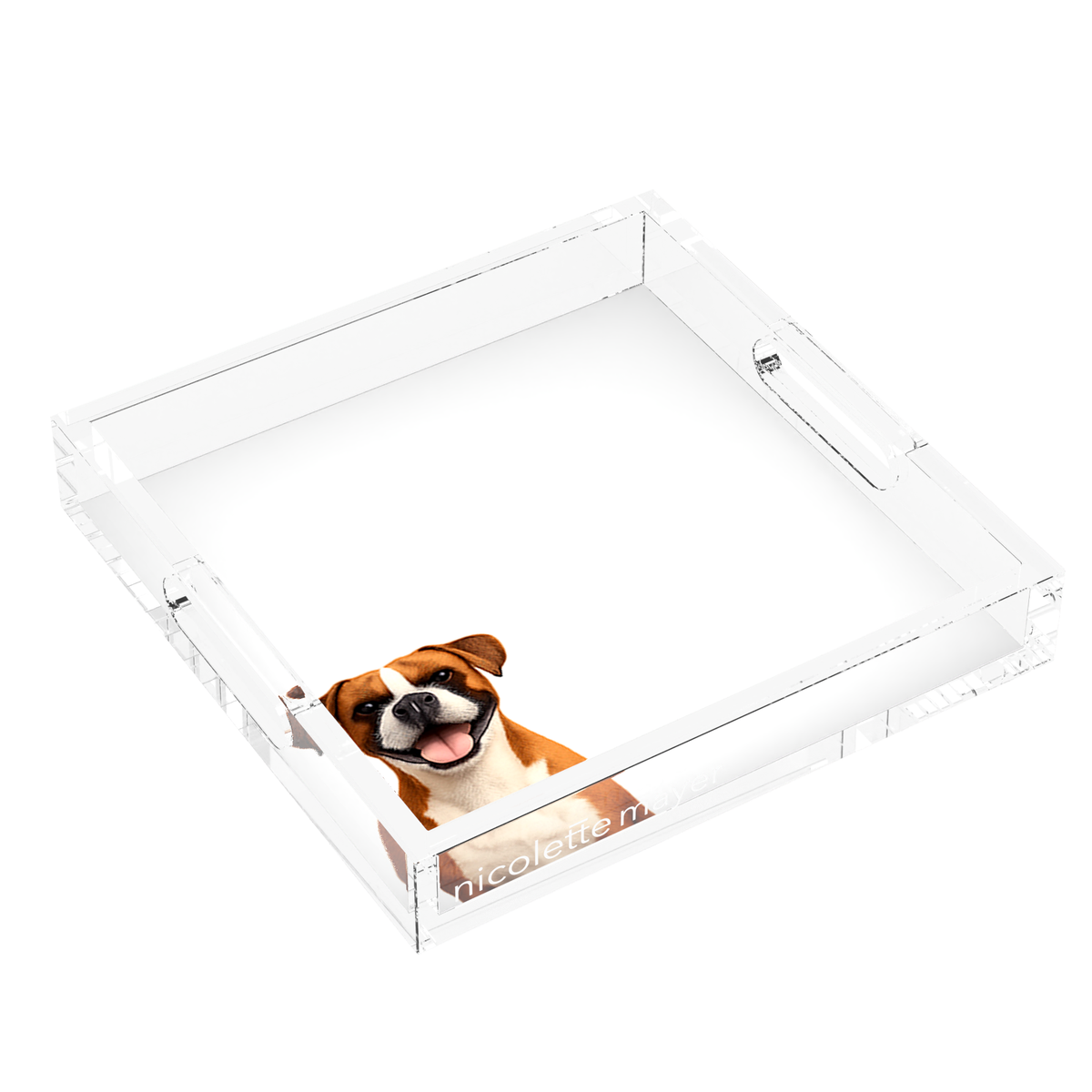Boxer Dog Acrylic Decorative Tray, left three-quarter, by Nicolette Mayer