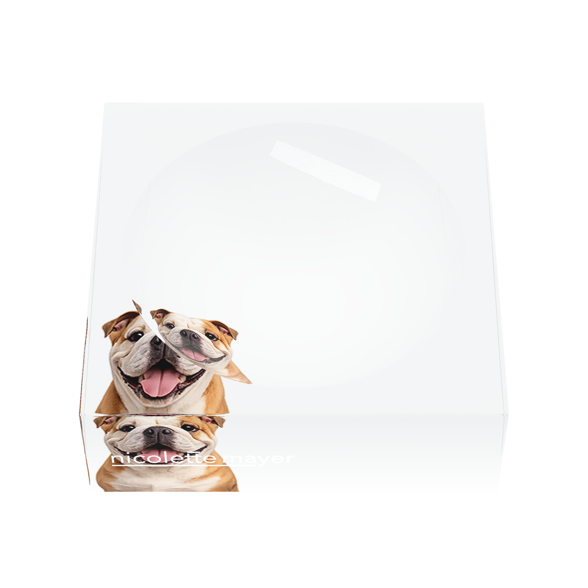 Bulldog Acrylic Candy Catchall Dish, front, by Nicolette Mayer