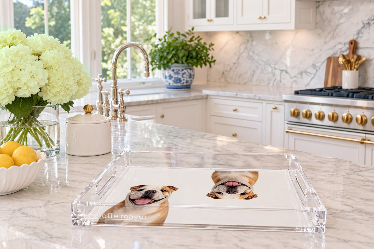 Bulldog Acrylic Rectangle Tray, on a kitchen island, by Nicolette Mayer