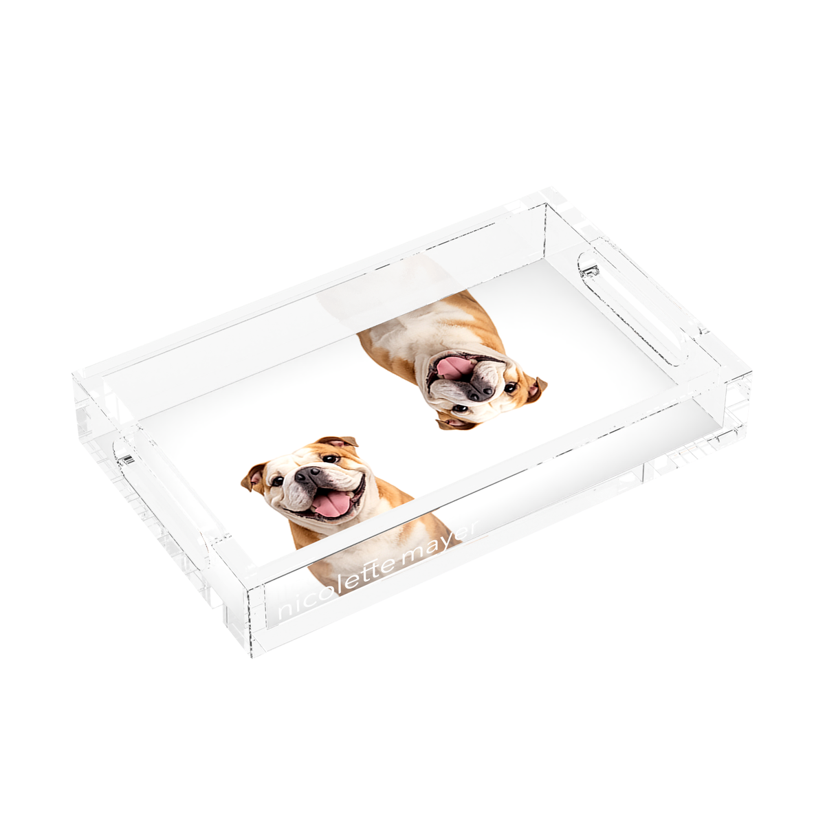 Bulldog Acrylic Rectangle Tray, left three-quarter, by Nicolette Mayer