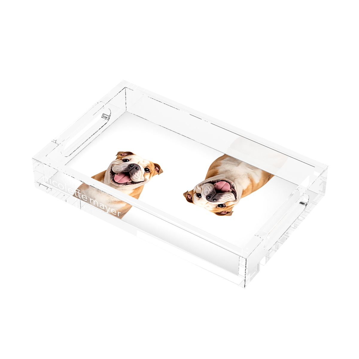Bulldog Acrylic Rectangle Tray, right three-quarter, by Nicolette Mayer