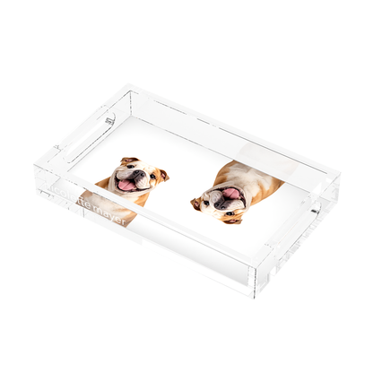 Bulldog Acrylic Rectangle Tray, right three-quarter, by Nicolette Mayer