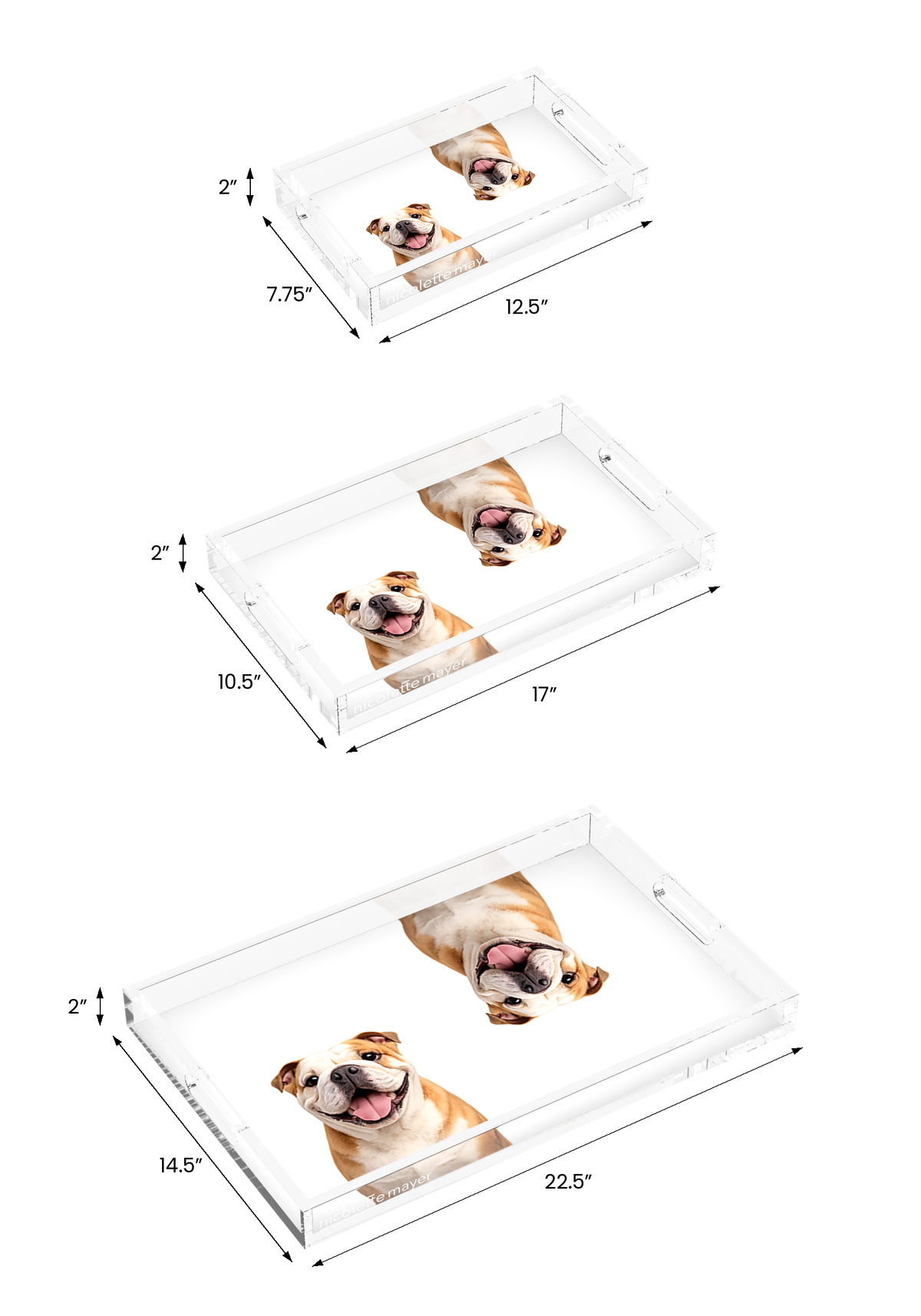 Bulldog Acrylic Rectangle Tray, all three sizes, by Nicolette Mayer