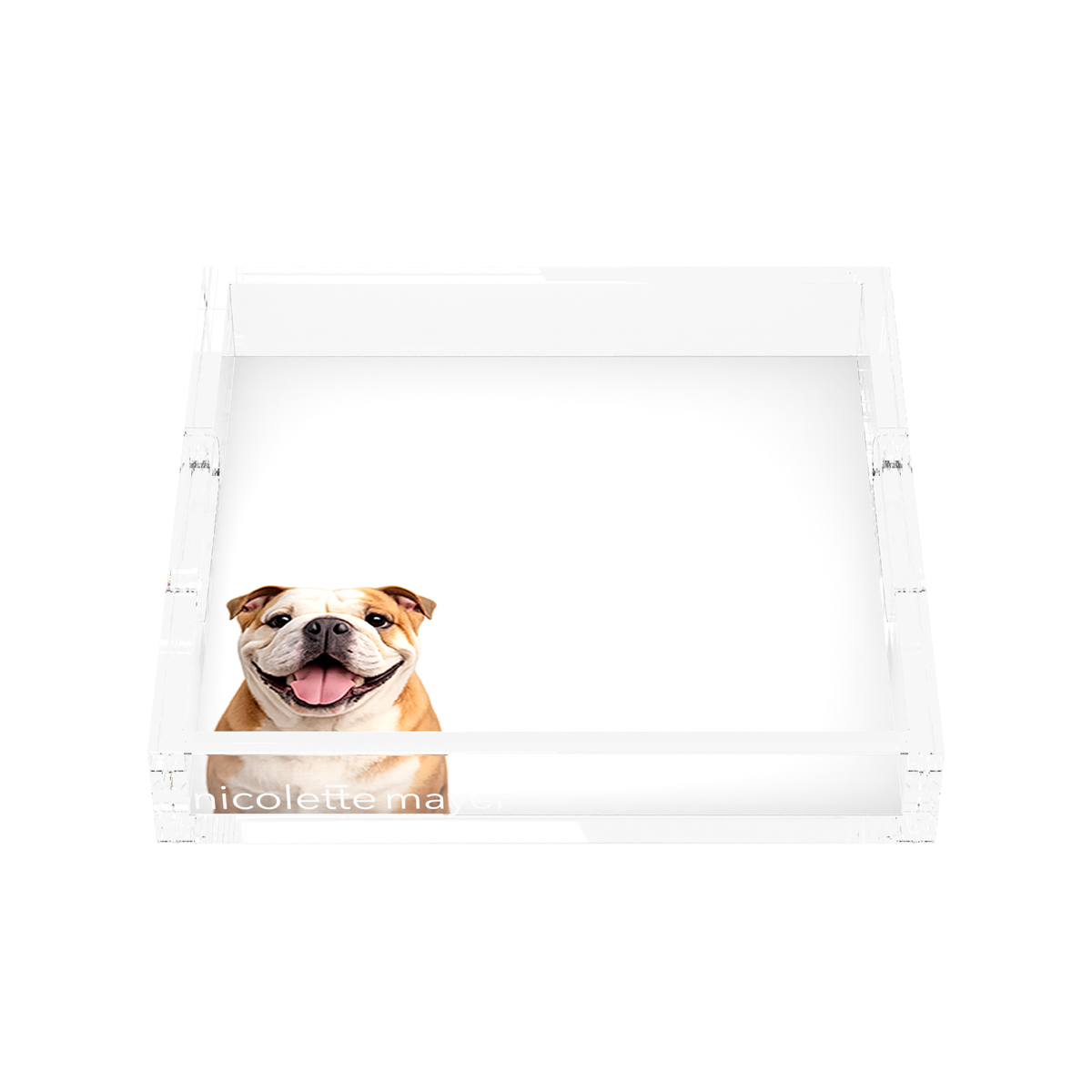 Bulldog Acrylic Decorative Tray, front, by Nicolette Mayer