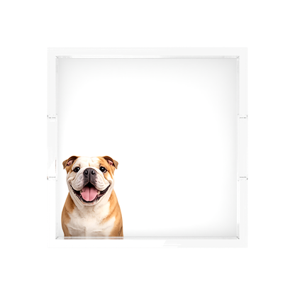 Bulldog Acrylic Decorative Tray, overhead, by Nicolette Mayer