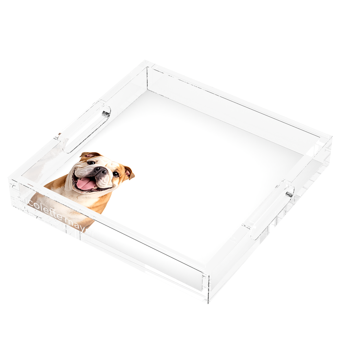 Bulldog Acrylic Decorative Tray, right three-quarter, by Nicolette Mayer