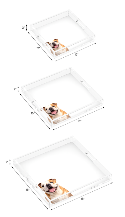 Bulldog Acrylic Decorative Tray, all three sizes, by Nicolette Mayer