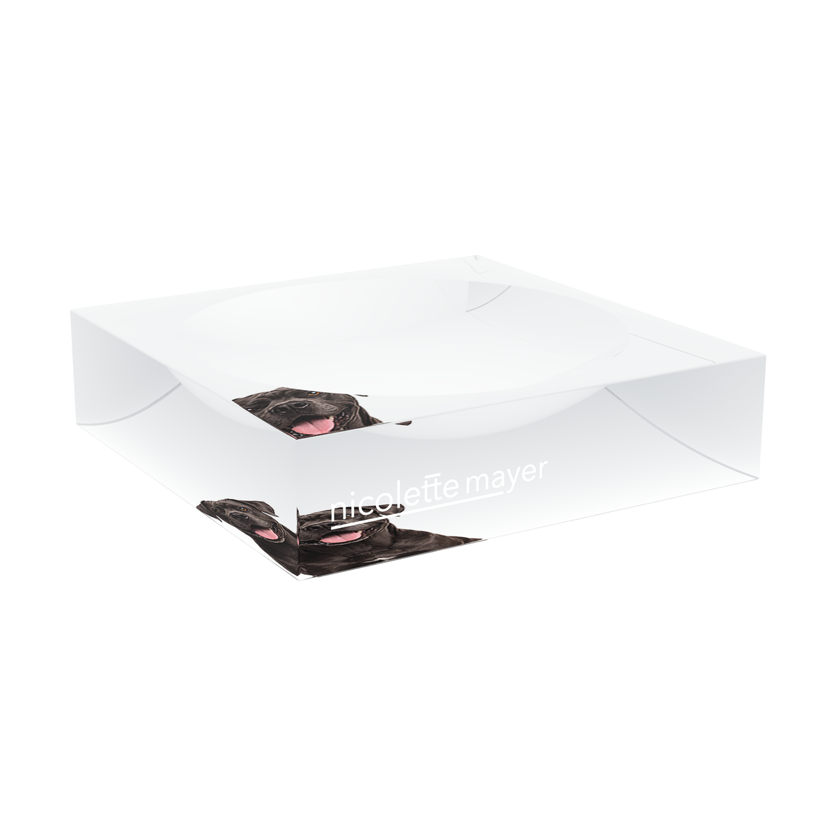 Cane Corso Dog Acrylic Candy Catchall Dish, large dish at an angle, by Nicolette Mayer