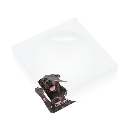 Cane Corso Dog Acrylic Candy Catchall Dish, left three-quarter, by Nicolette Mayer