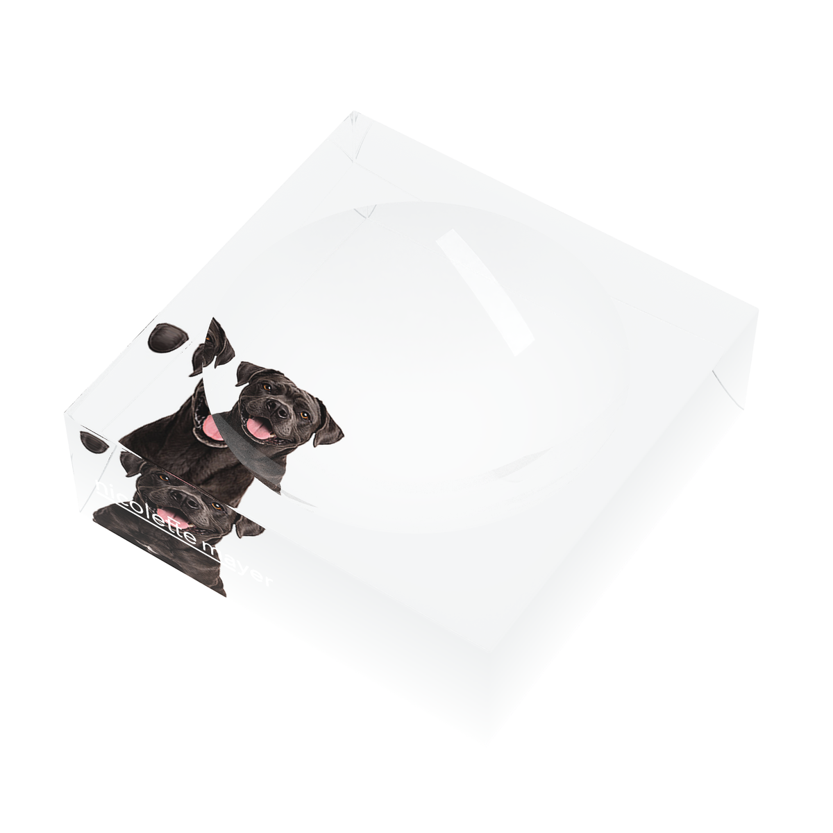 Cane Corso Dog Acrylic Candy Catchall Dish, right three-quarter, by Nicolette Mayer