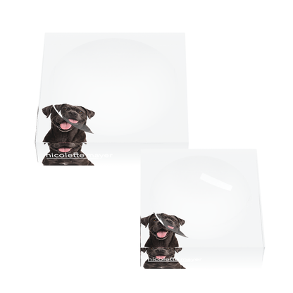 Cane Corso Dog Acrylic Candy Catchall Dish, set of two, by Nicolette Mayer