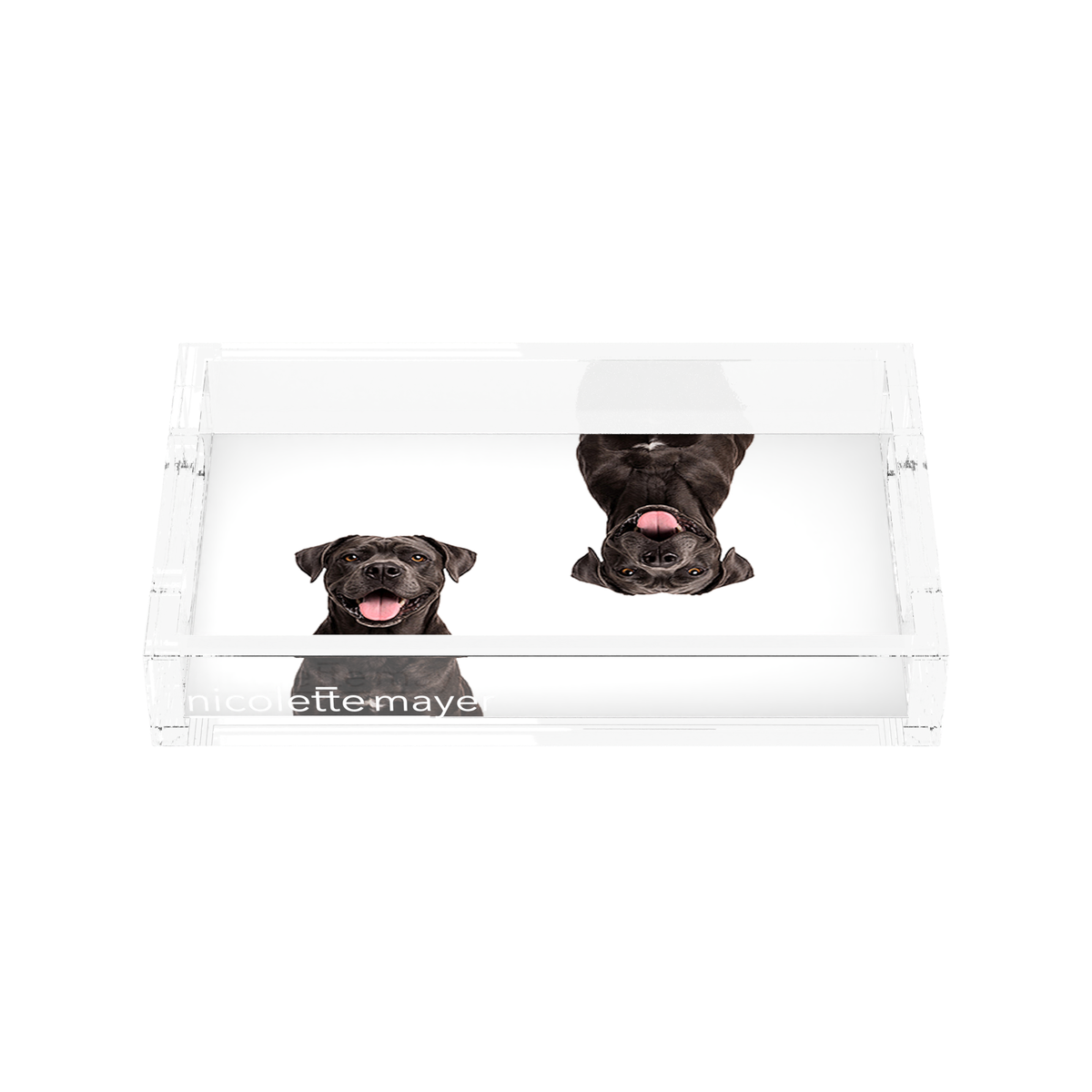 Cane Corso Dog Acrylic Rectangle Tray, front, by Nicolette Mayer