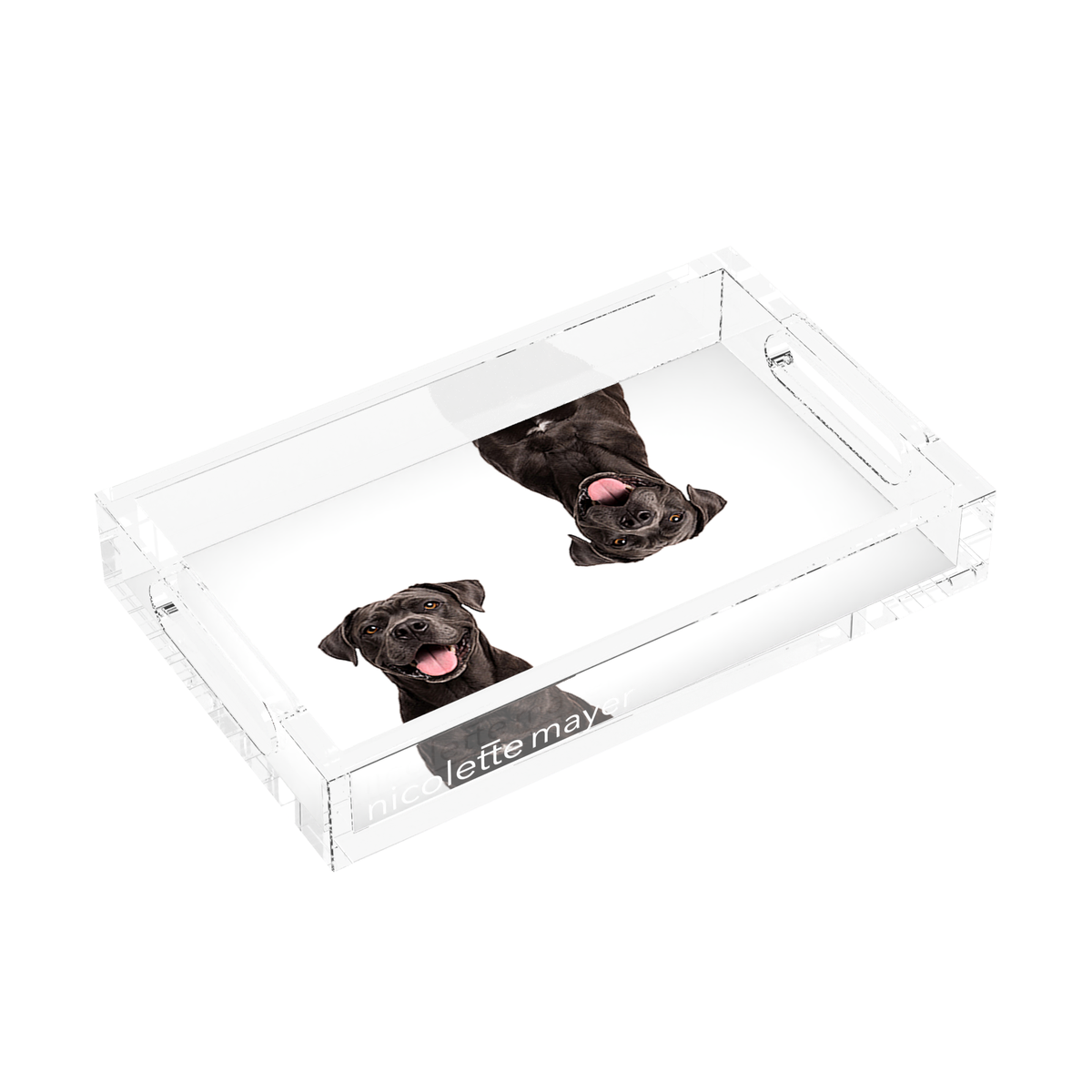 Cane Corso Dog Acrylic Rectangle Tray, left three-quarter, by Nicolette Mayer