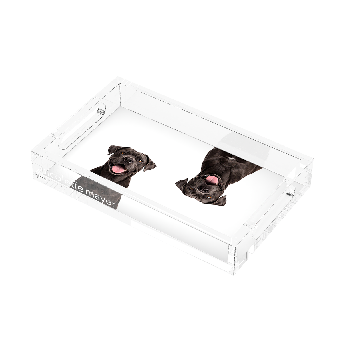 Cane Corso Dog Acrylic Rectangle Tray, right three-quarter, by Nicolette Mayer