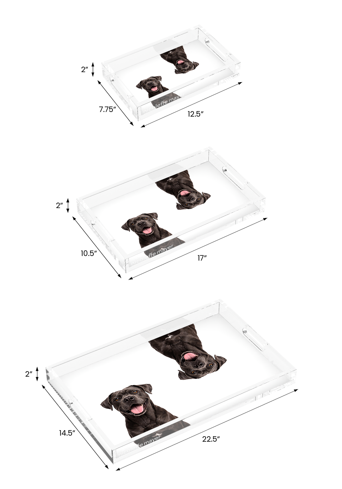 Cane Corso Dog Acrylic Rectangle Tray, all three sizes, by Nicolette Mayer