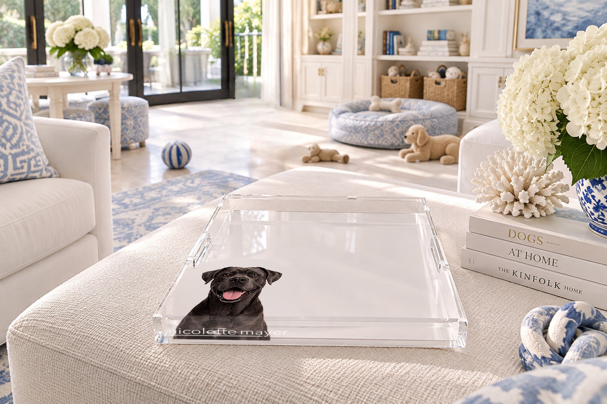 Cane Corso Dog Acrylic Decorative Tray, on an ottoman, by Nicolette Mayer