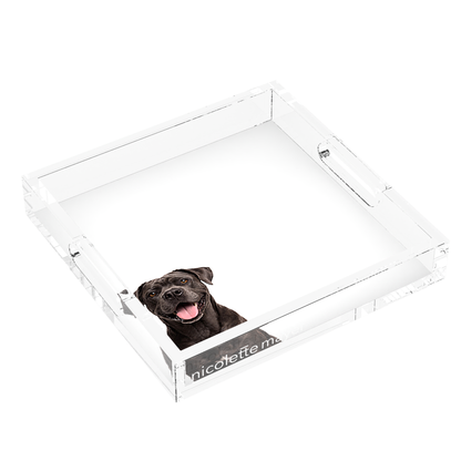 Cane Corso Dog Acrylic Decorative Tray, left three-quarter, by Nicolette Mayer