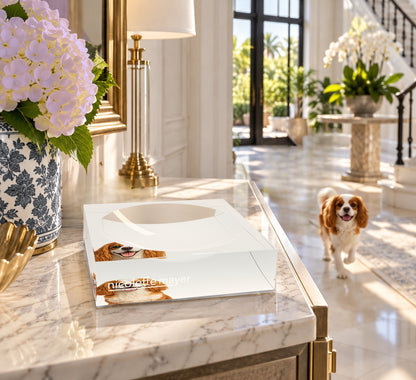 Cavalier King Charles Spaniel Dog Acrylic Candy Catchall Dish, on an entry console, by Nicolette Mayer