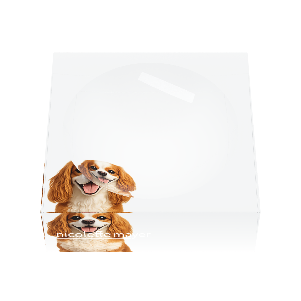 Cavalier King Charles Spaniel Dog Acrylic Candy Catchall Dish, front, by Nicolette Mayer