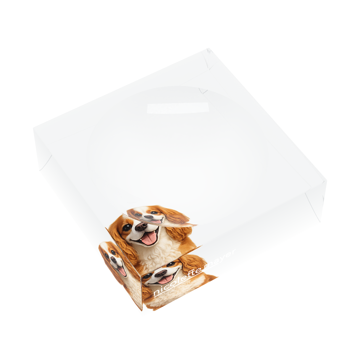Cavalier King Charles Spaniel Dog Acrylic Candy Catchall Dish, left three-quarter, by Nicolette Mayer