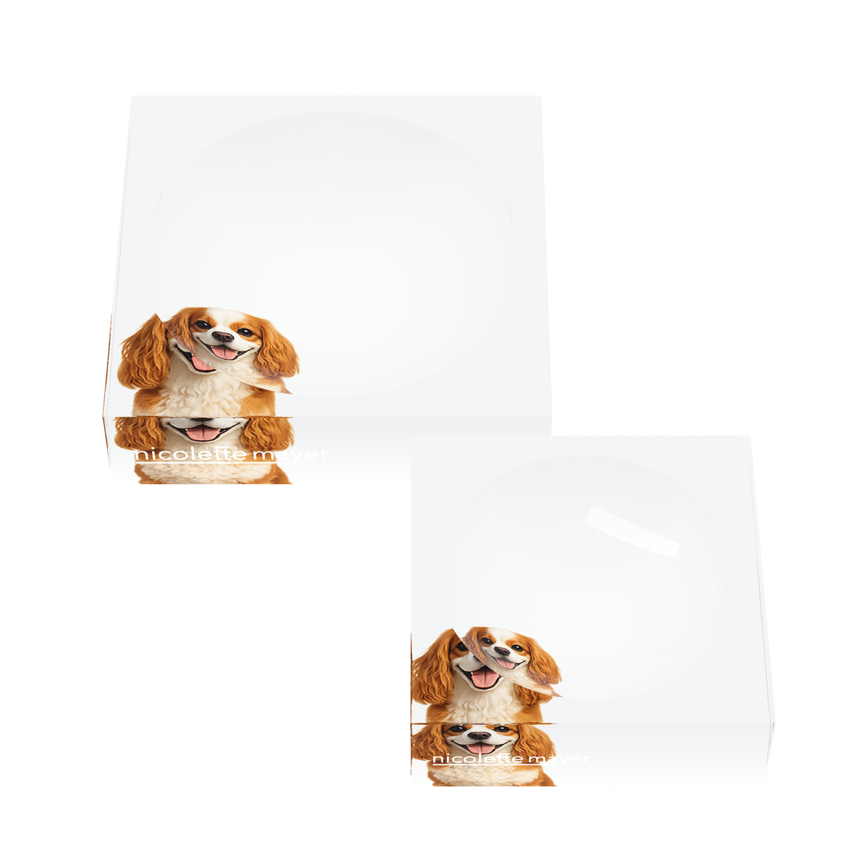 Cavalier King Charles Spaniel Dog Acrylic Candy Catchall Dish, set of two, by Nicolette Mayer