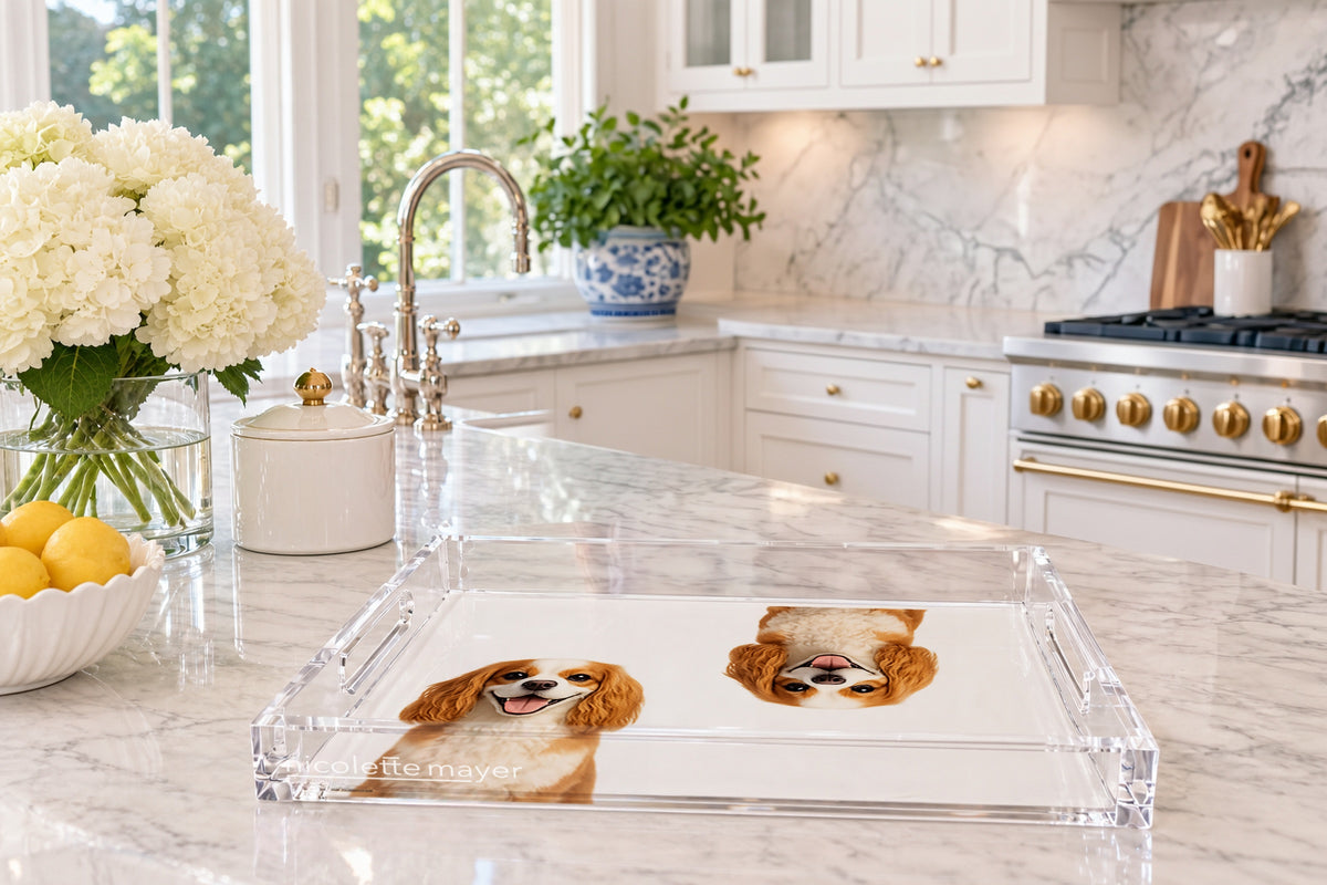 Cavalier King Charles Spaniel Dog Acrylic Rectangle Tray, on a kitchen island, by Nicolette Mayer